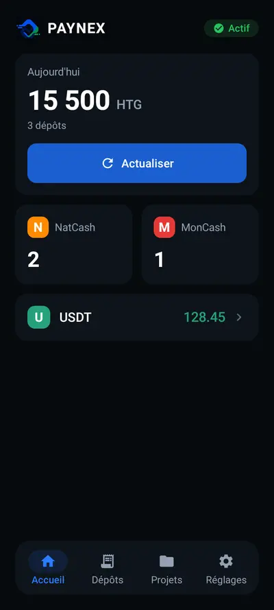 Écran d’accueil de l’application Paynex : total du jour et compteurs NatCash, MonCash et USDT